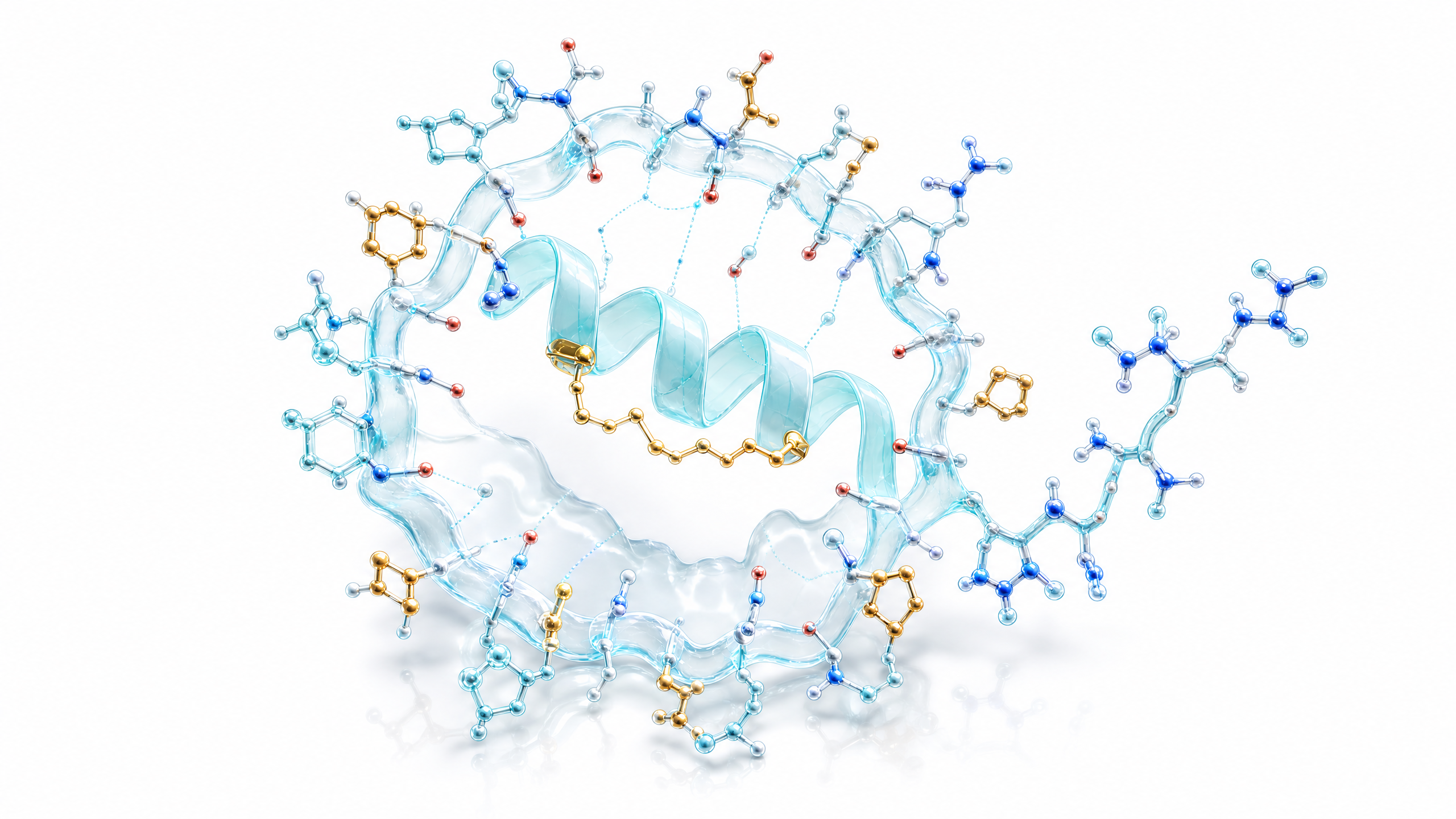 ARC-001 engineered peptide construct — illustrative render